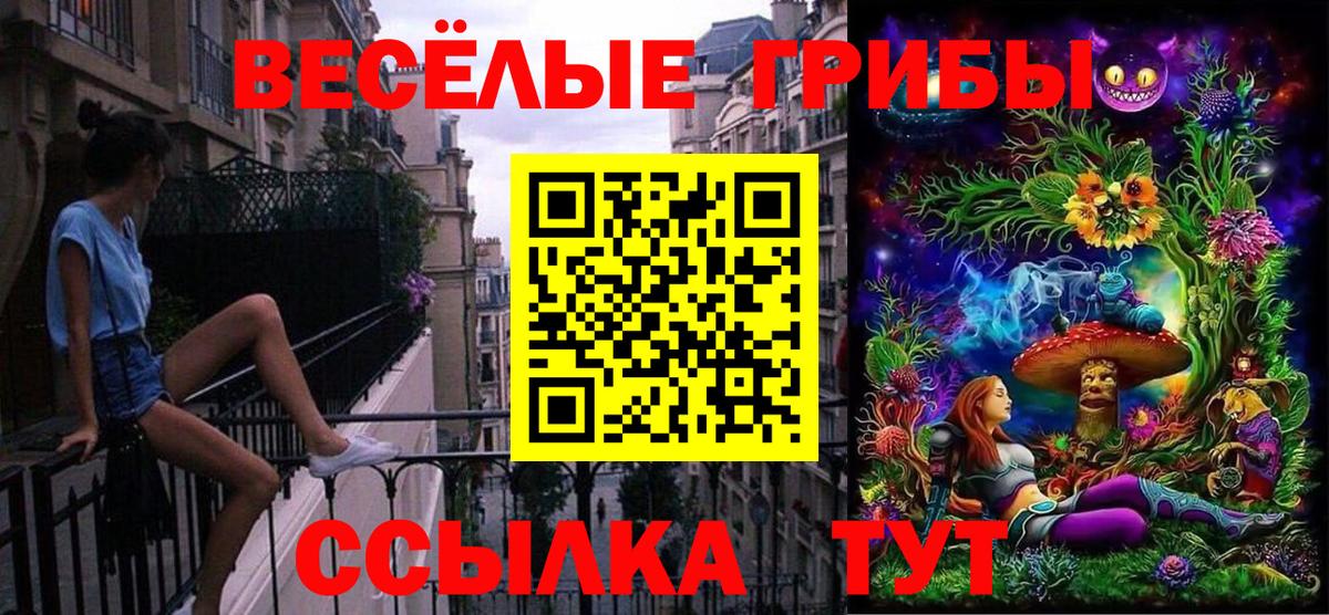 Галлюциногенные грибы GOLDEN TEACHER  Вход с VPN  Балтийск  Галлюциногенные грибы мухоморы 